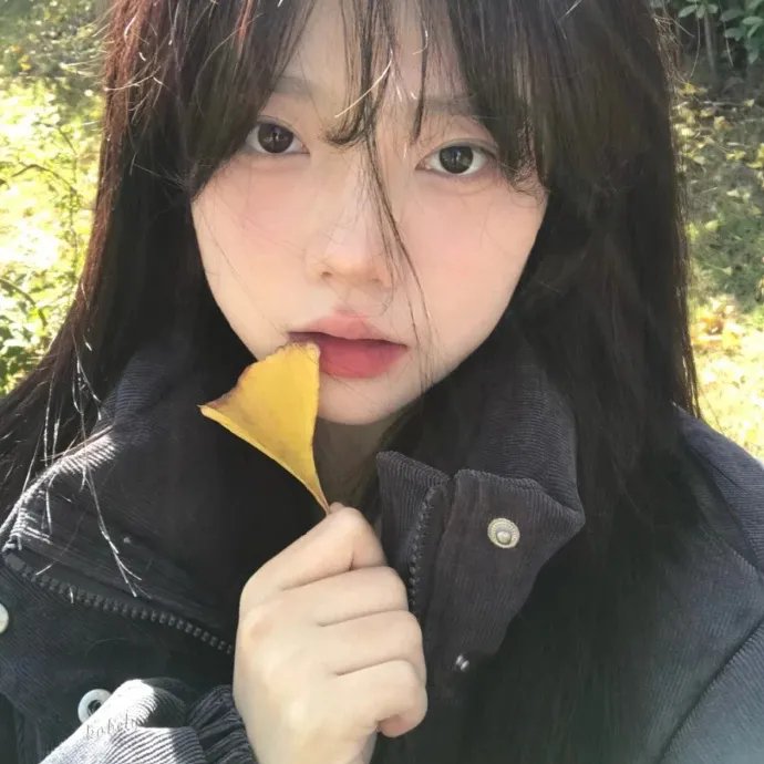 鼓槌